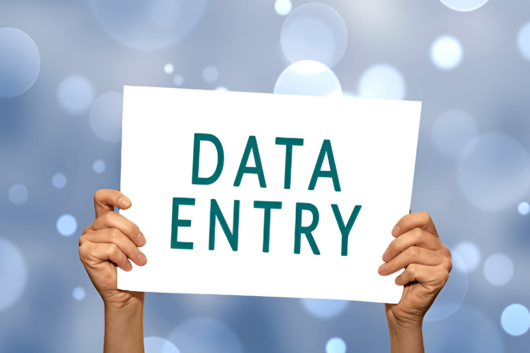 Data Entry Services
